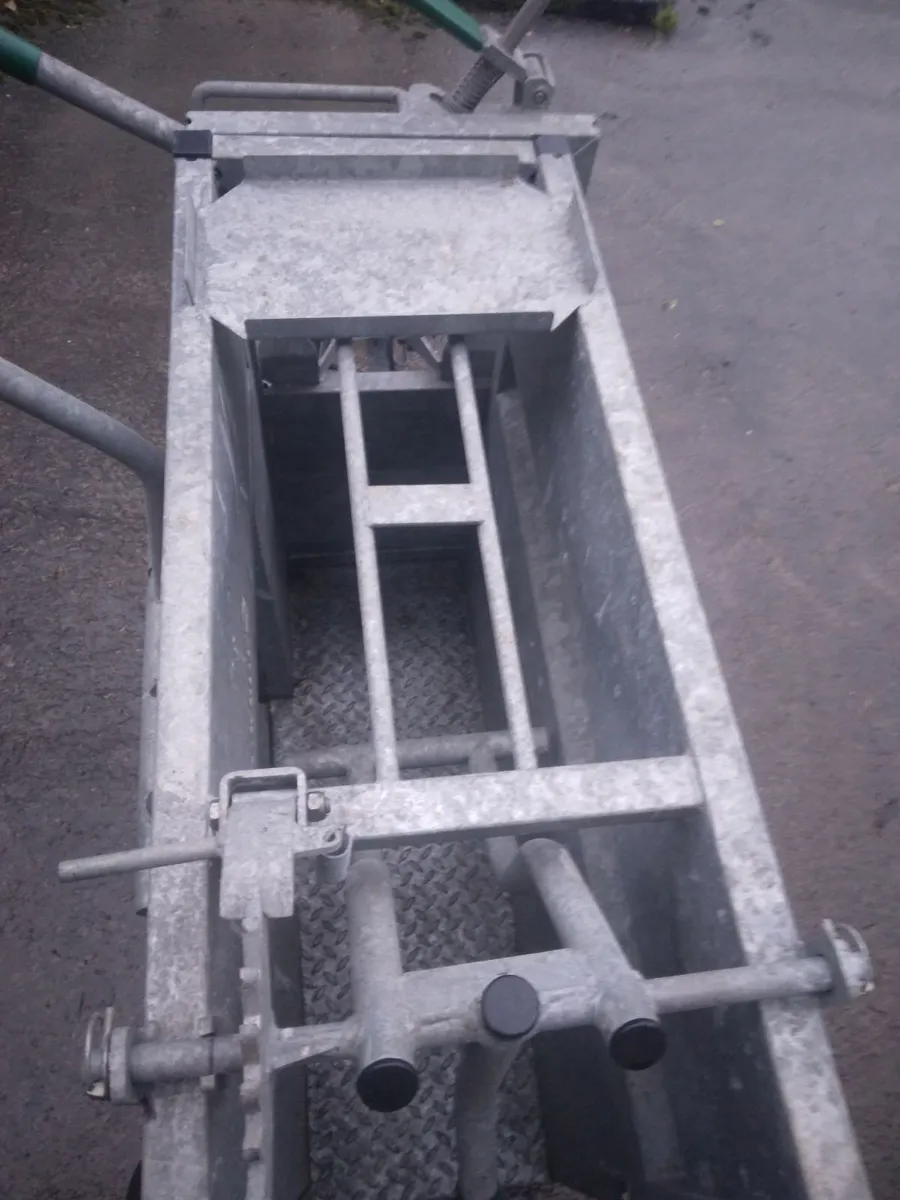 Calf dehorning crate - Image 3