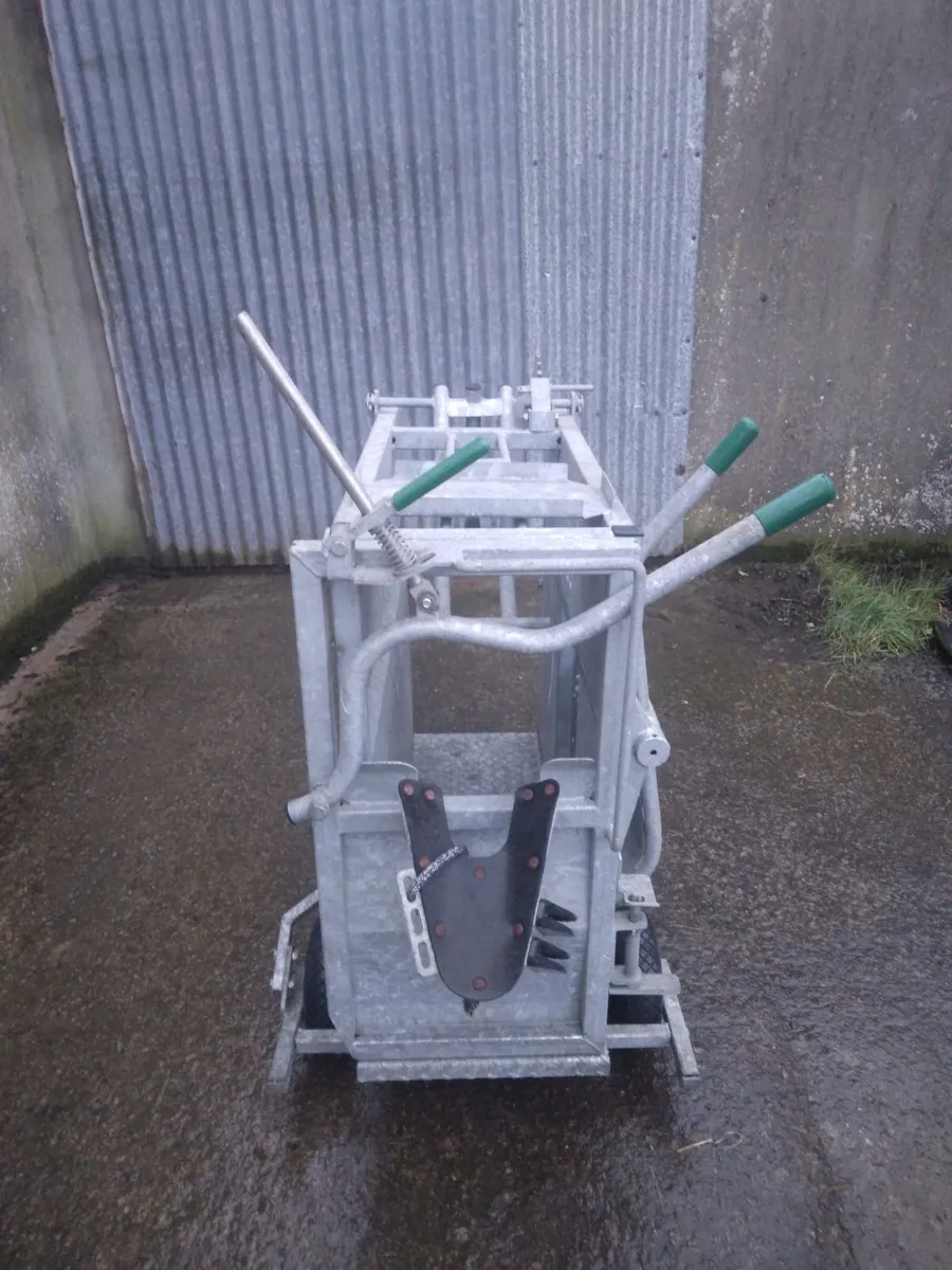 Calf dehorning crate - Image 2