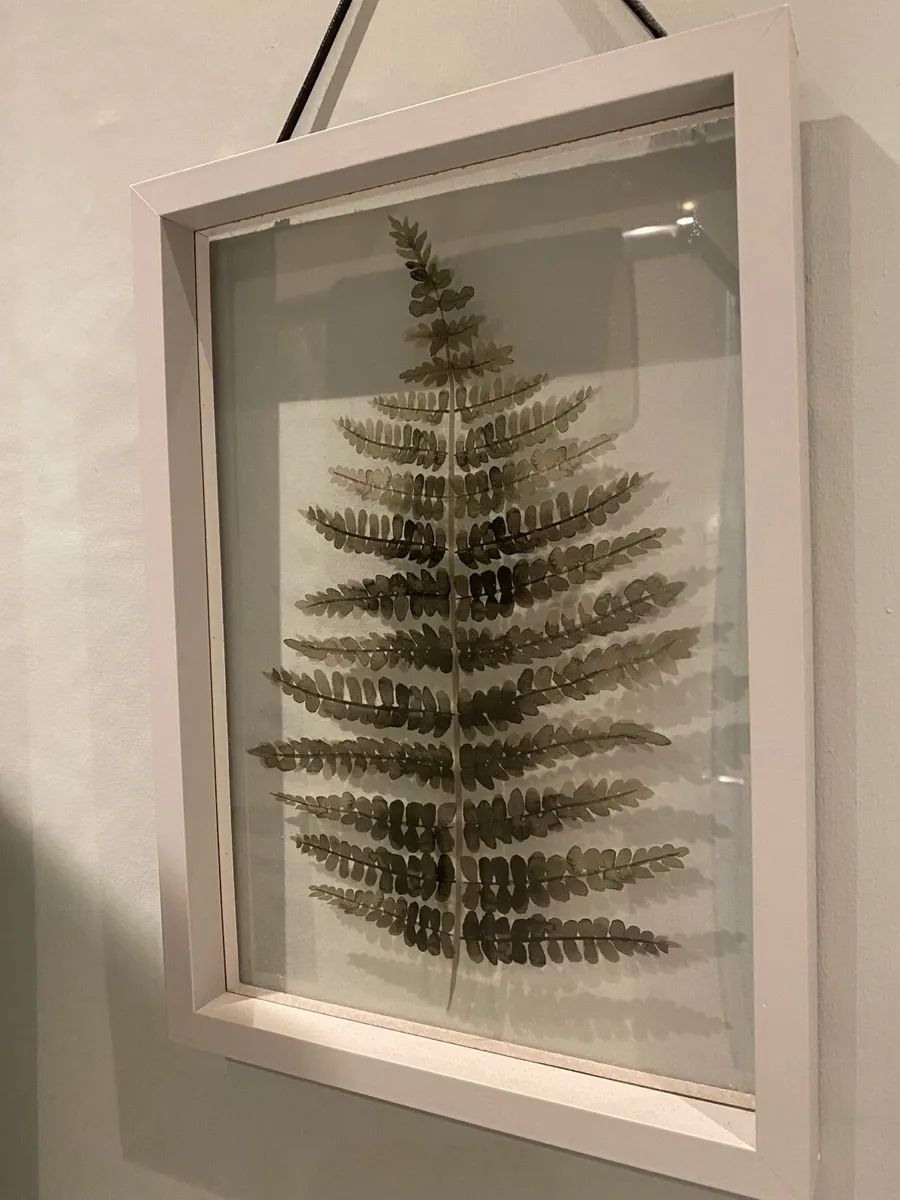 NEXT Wall decoration set - Image 2