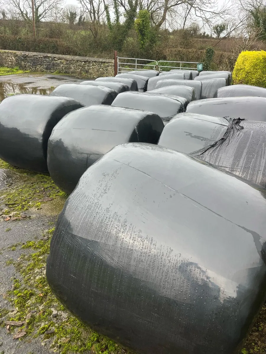 Silage bales