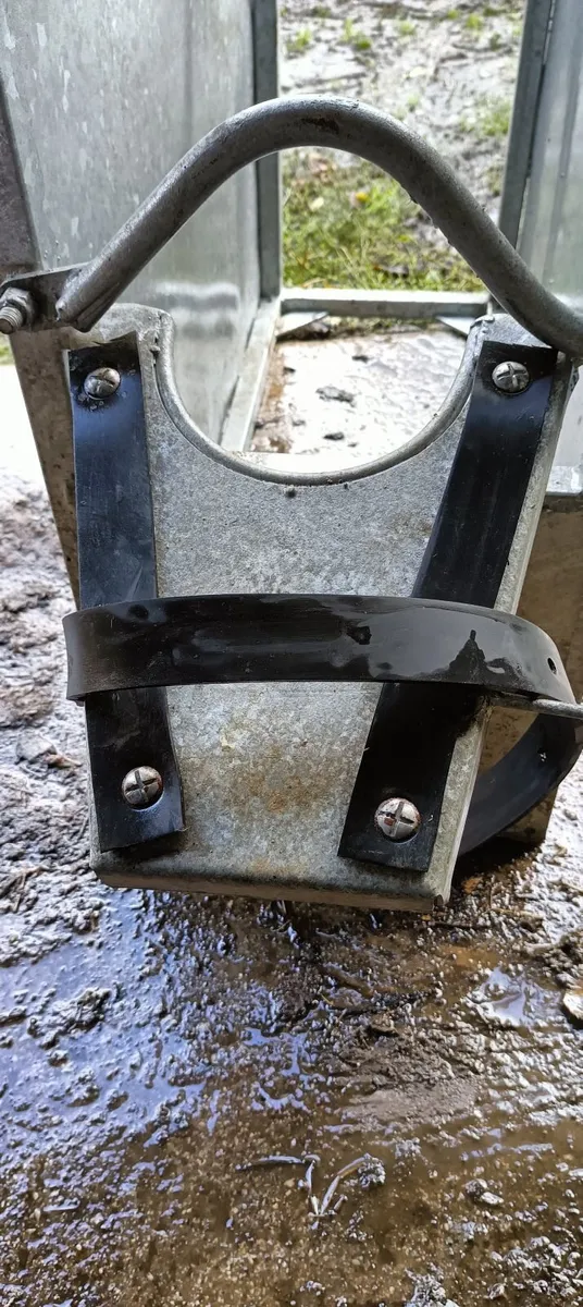 Dehorning crate - Image 3