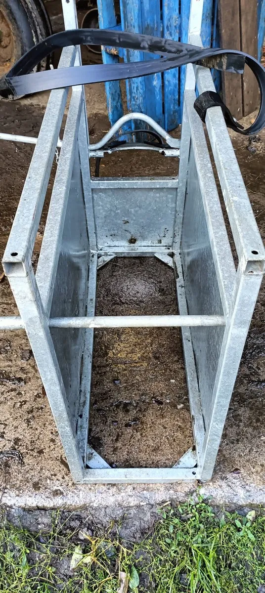 Dehorning crate - Image 4