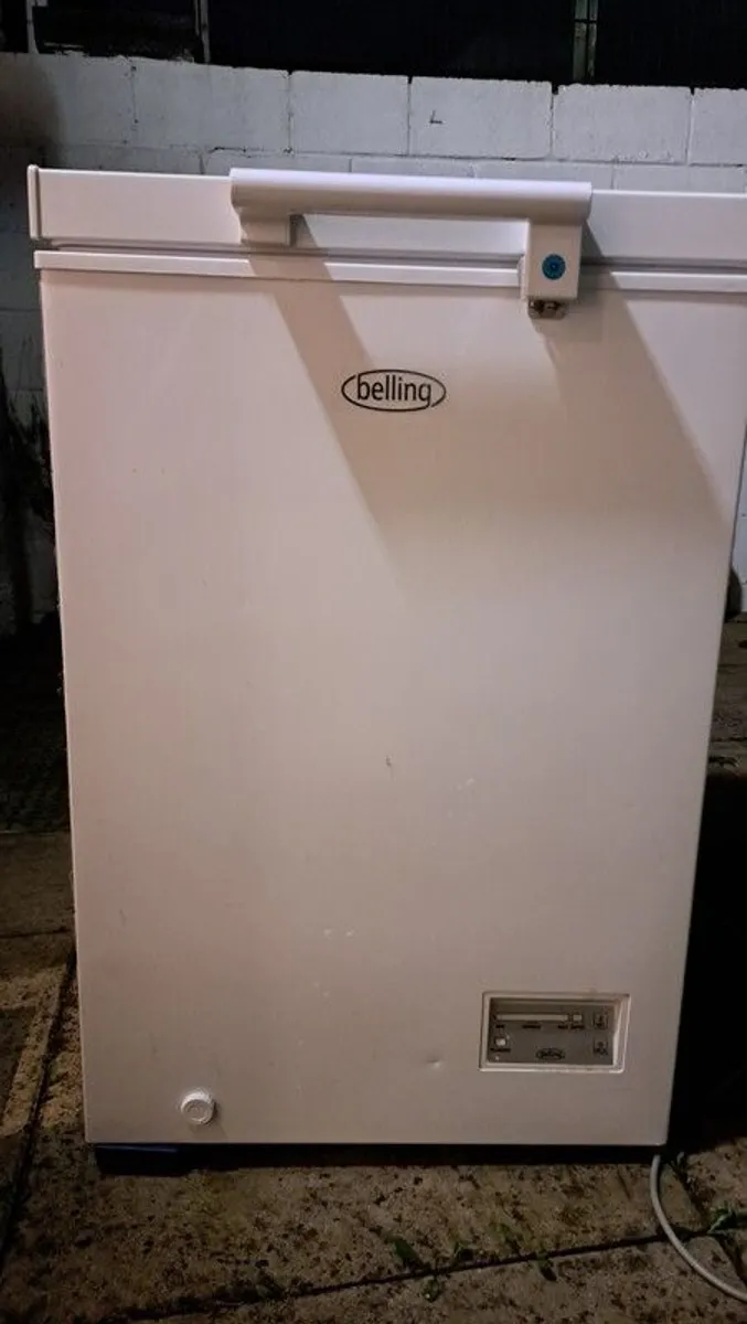 Freestanding Chest Freezer - Image 1