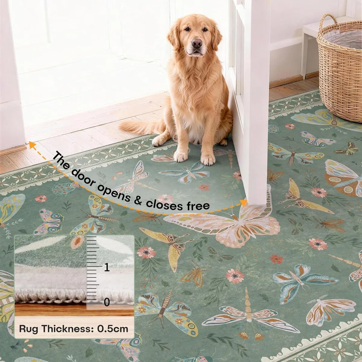 Large Living Room Rug 160x220cm Butterfly Insect - Image 3