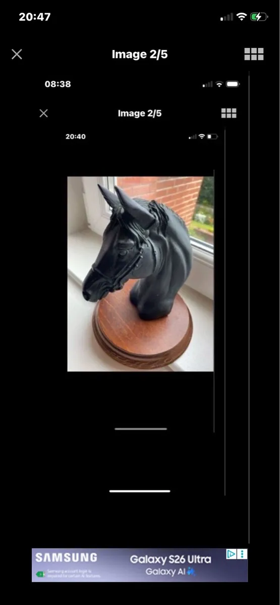 Vintage Horse Head Display - Image 2