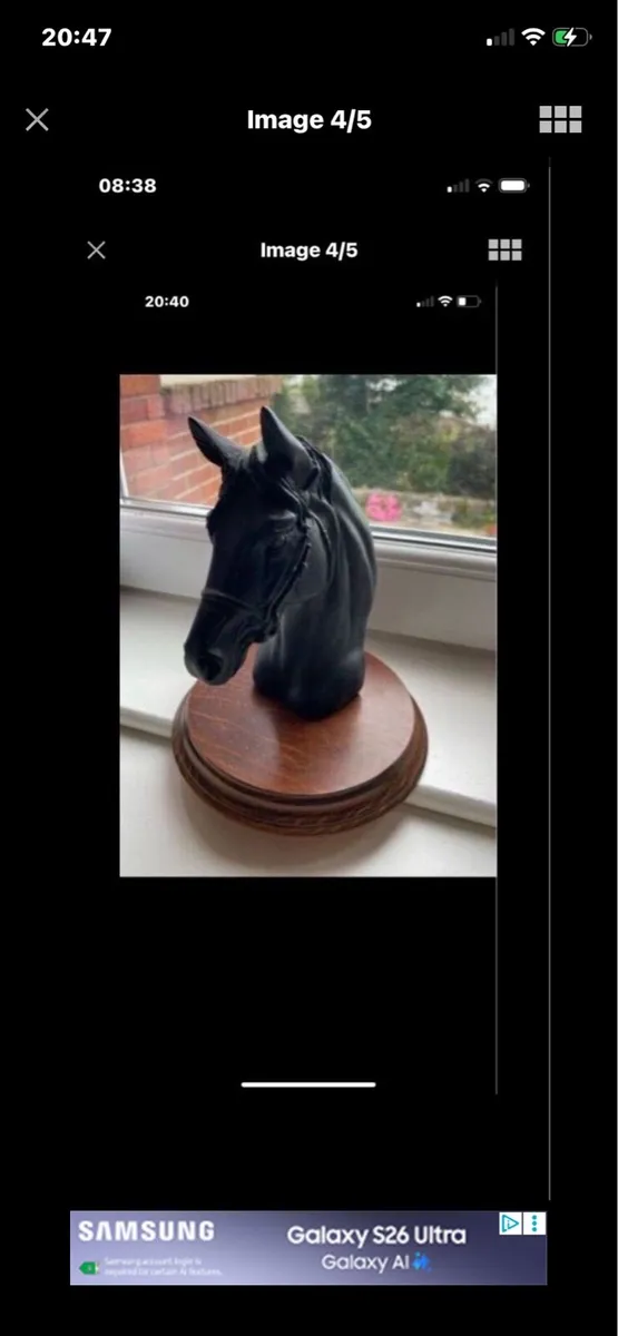 Vintage Horse Head Display - Image 4