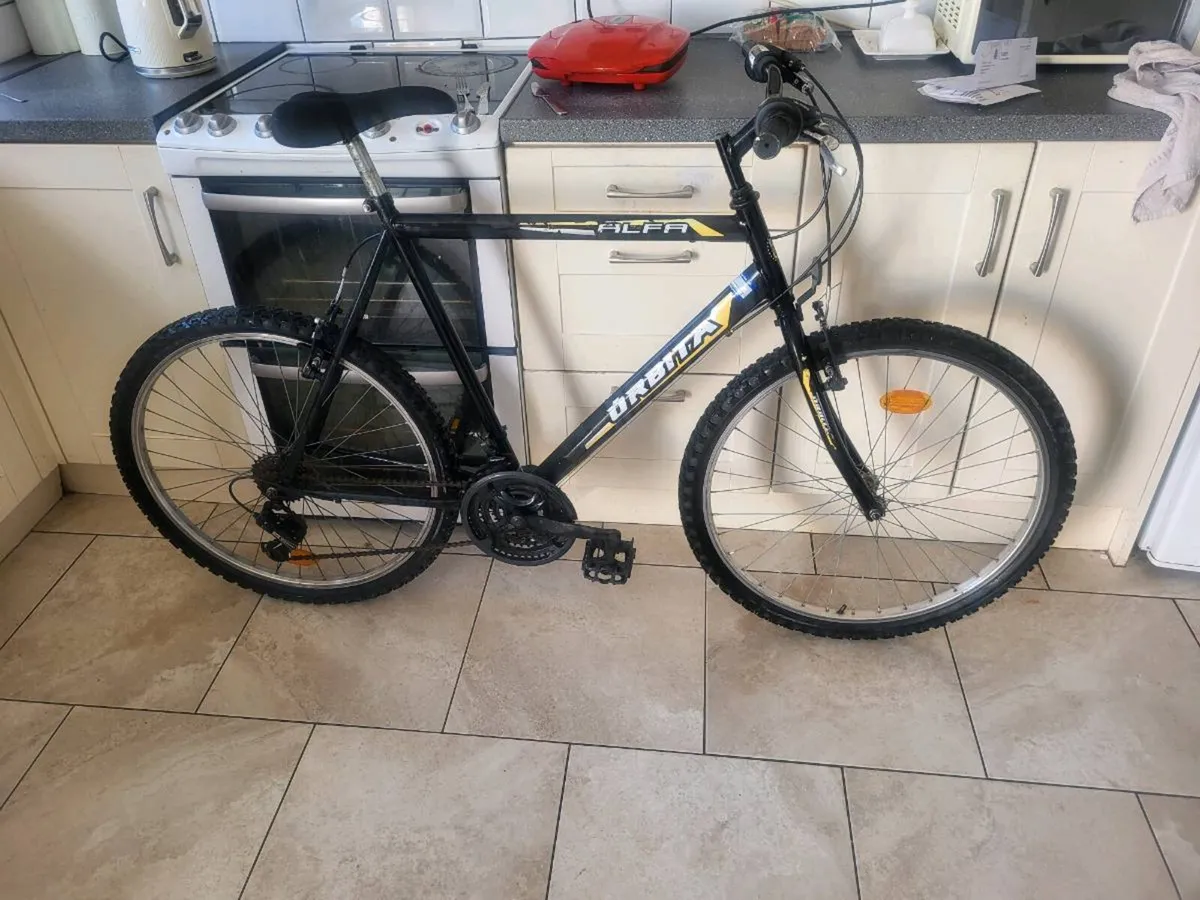 Xl mens mountain bike - Image 1