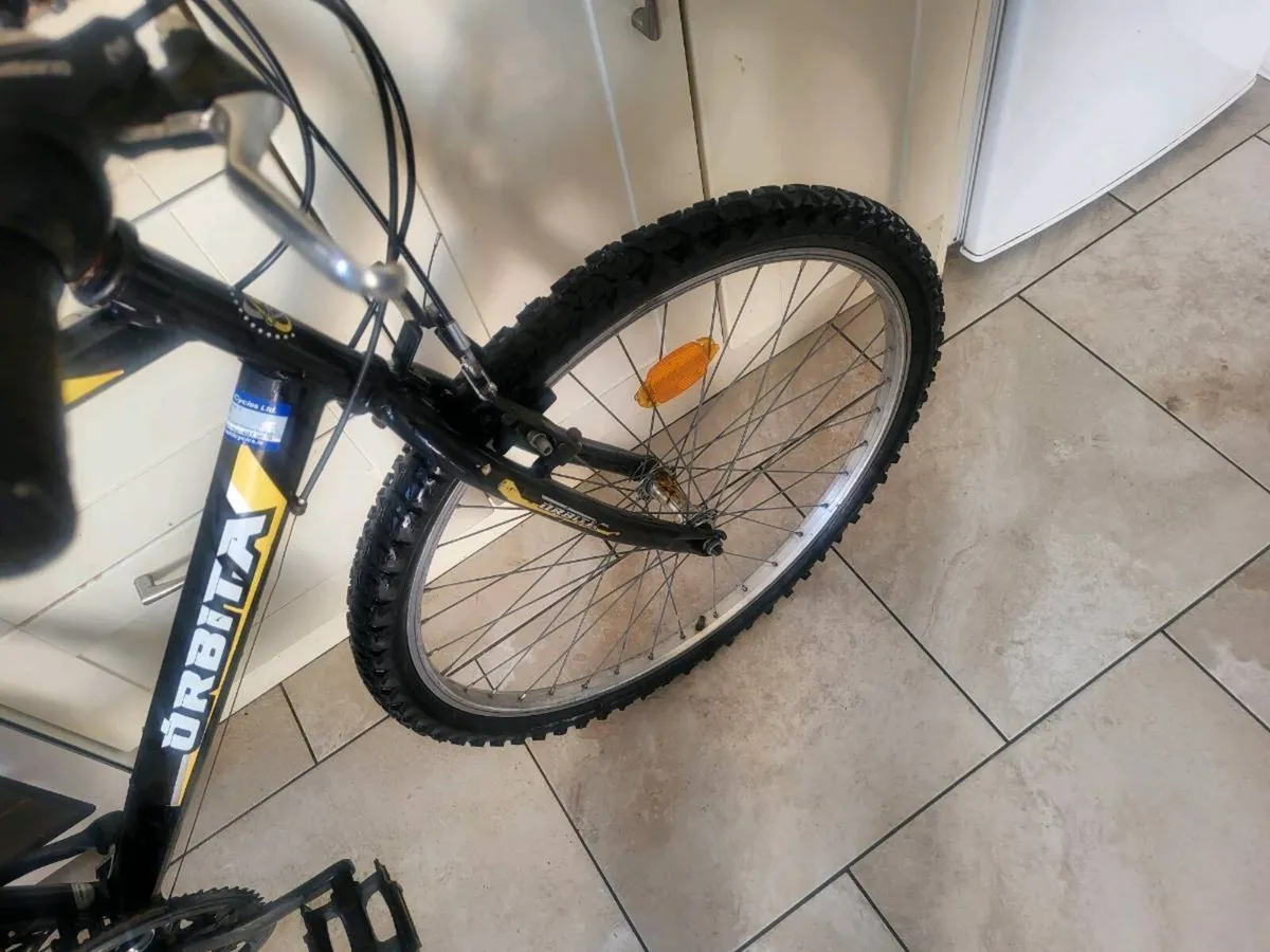 Xl mens mountain bike - Image 2