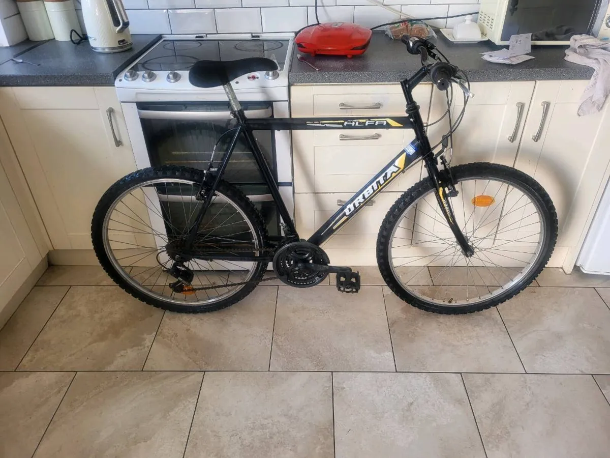 Xl mens mountain bike - Image 4