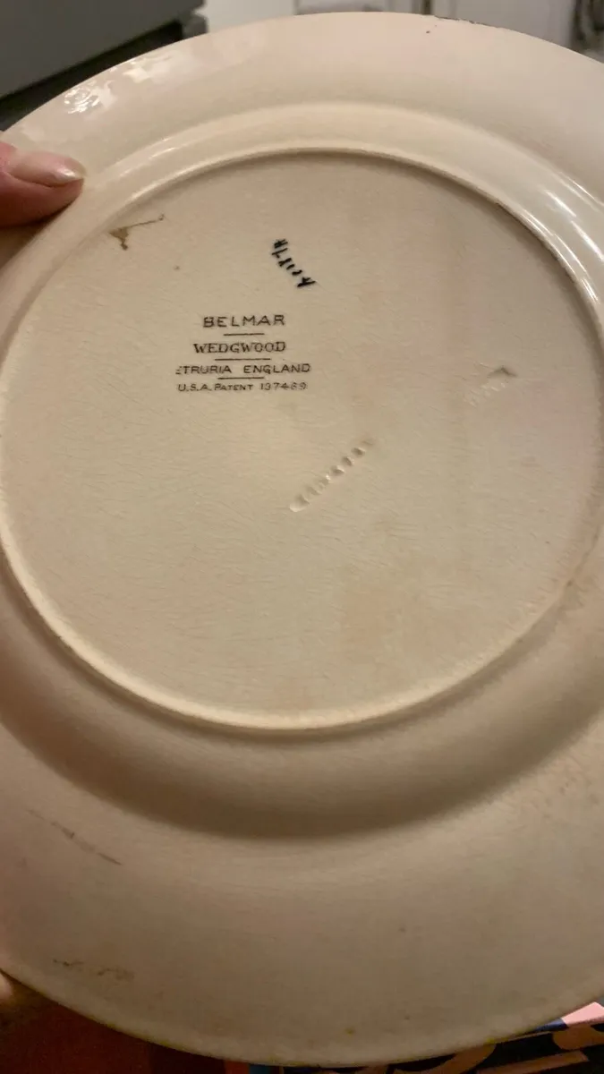 WEDGEWOOD fine china dinner plate -BELMAR pattern - Image 2