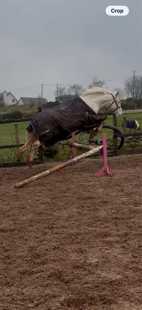 Summer project - Image 2