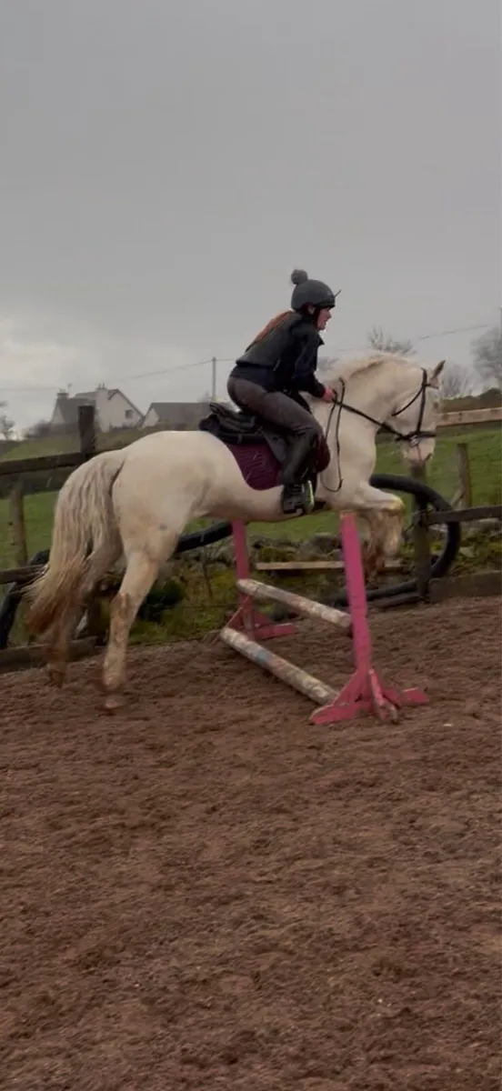 Summer project - Image 1