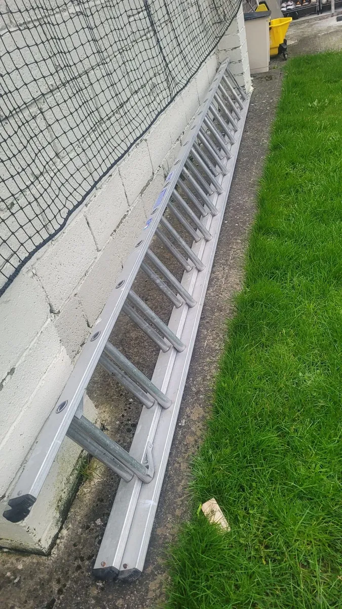 Long Ladder - Image 2