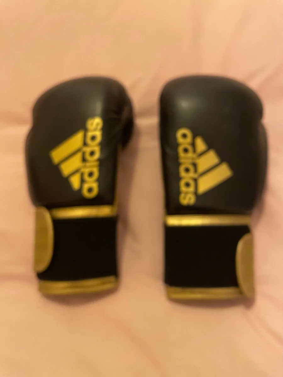 Boxing Gloves - Image 1