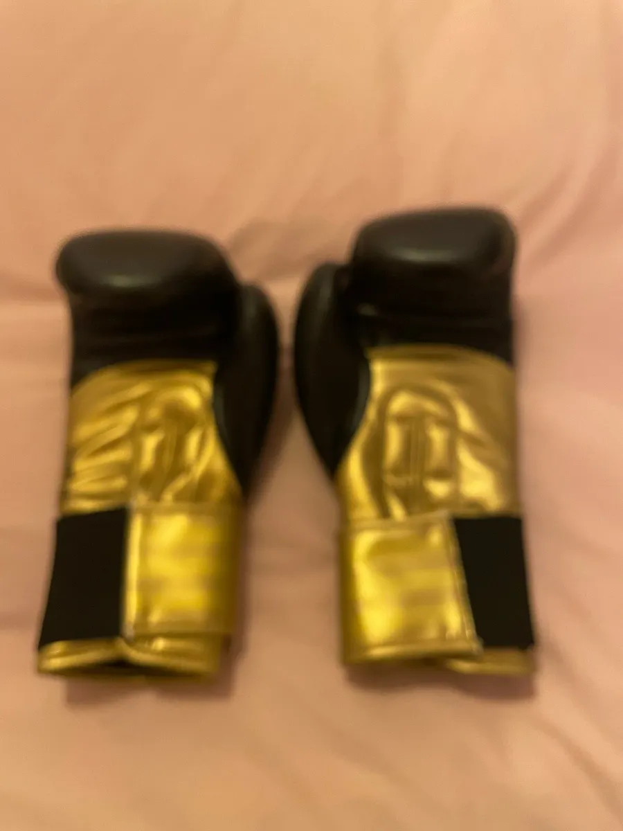 Boxing Gloves - Image 2