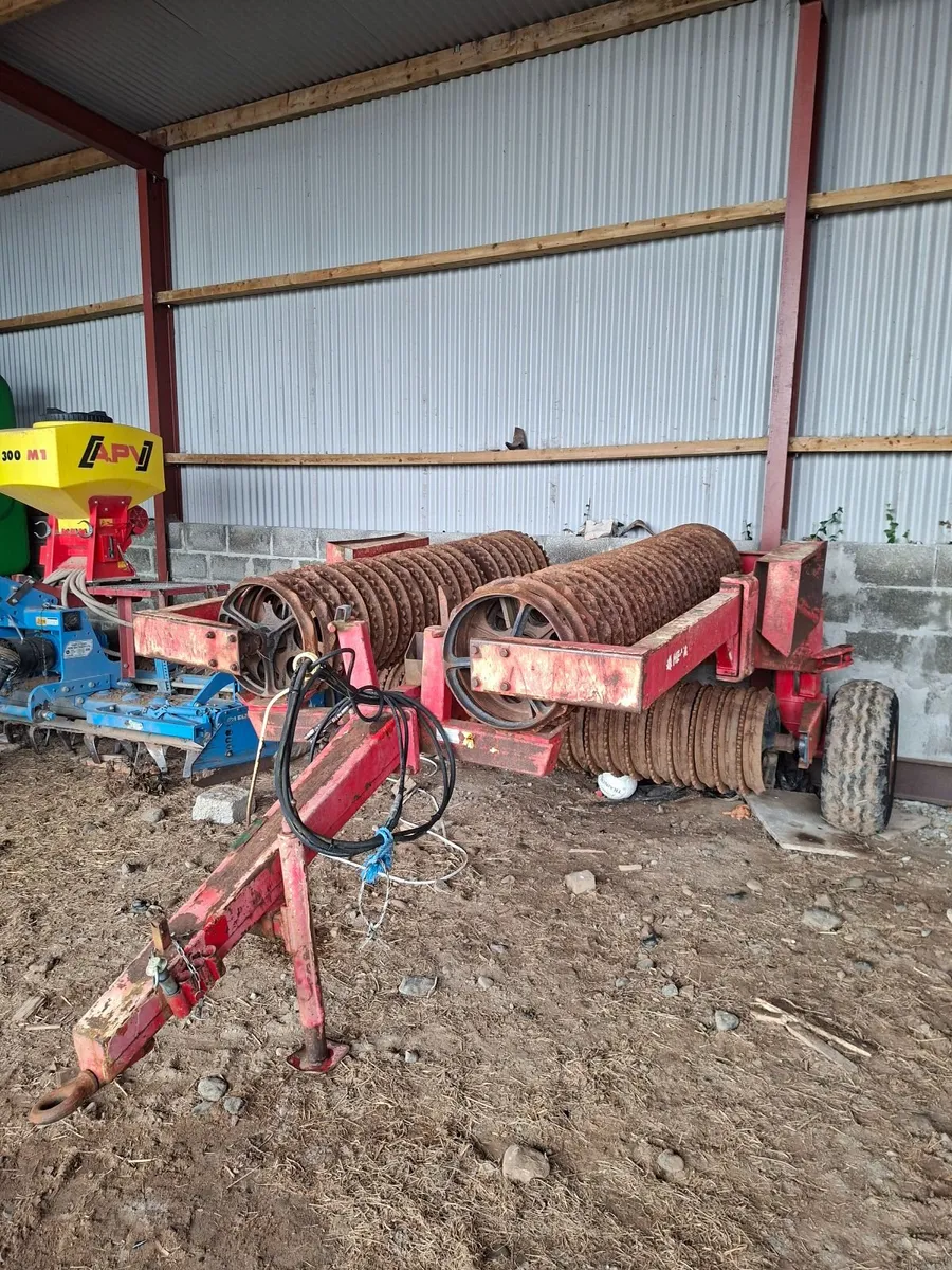 Ring Roller - Image 4