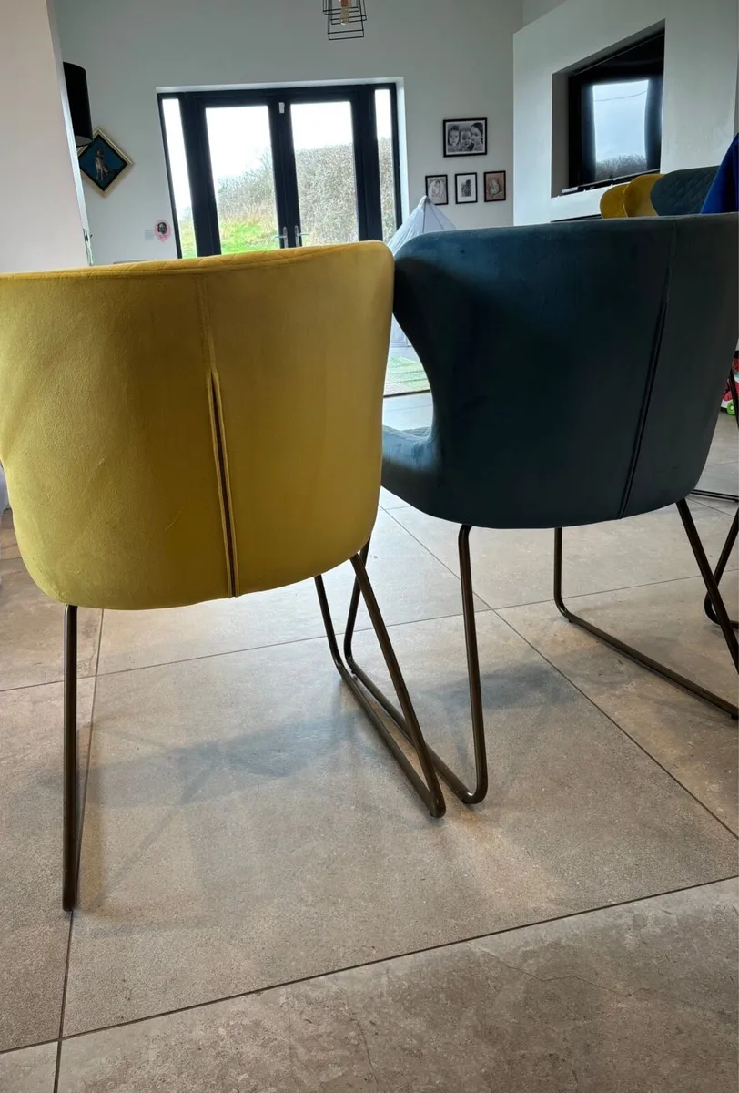 Kitchen dining chairs - Image 1