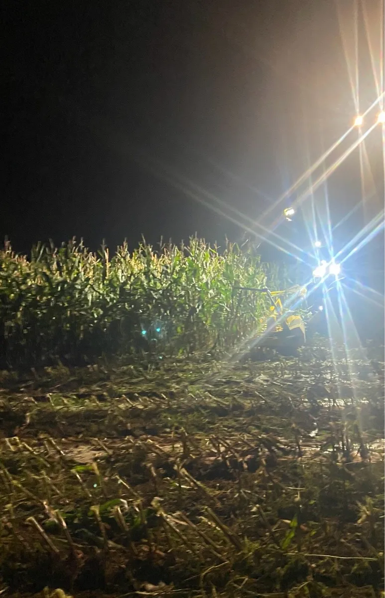 Land Available for Maize - Image 2