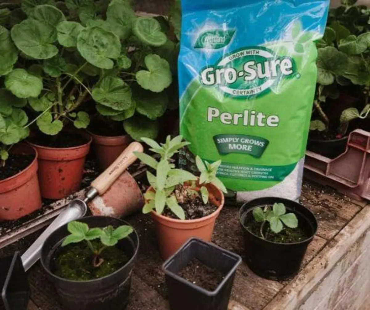 Gro-Sure Perlite 10L - Improve aeration & drainage - Image 1