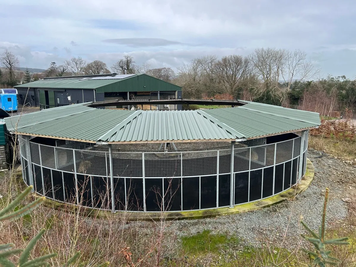 6 Horse Walker - Image 1