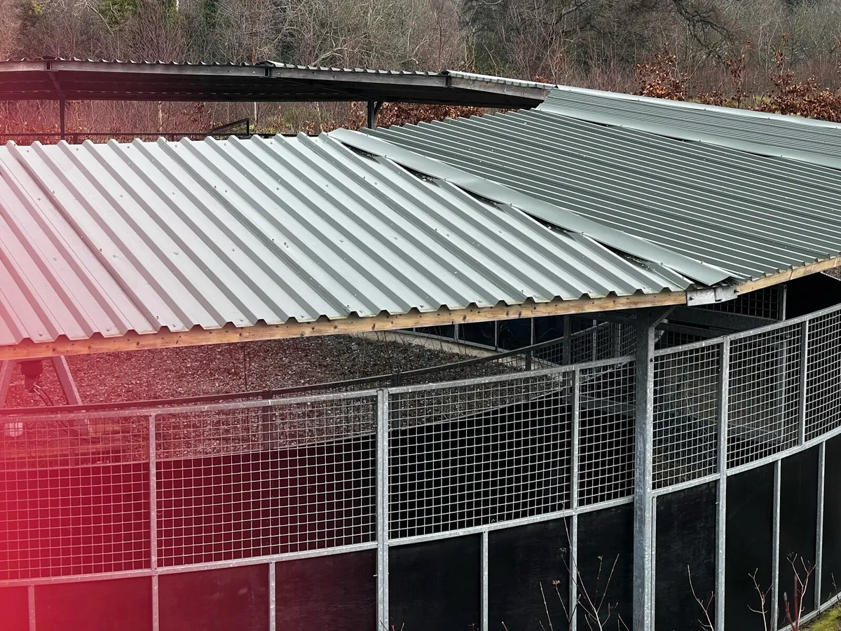 6 Horse Walker - Image 2