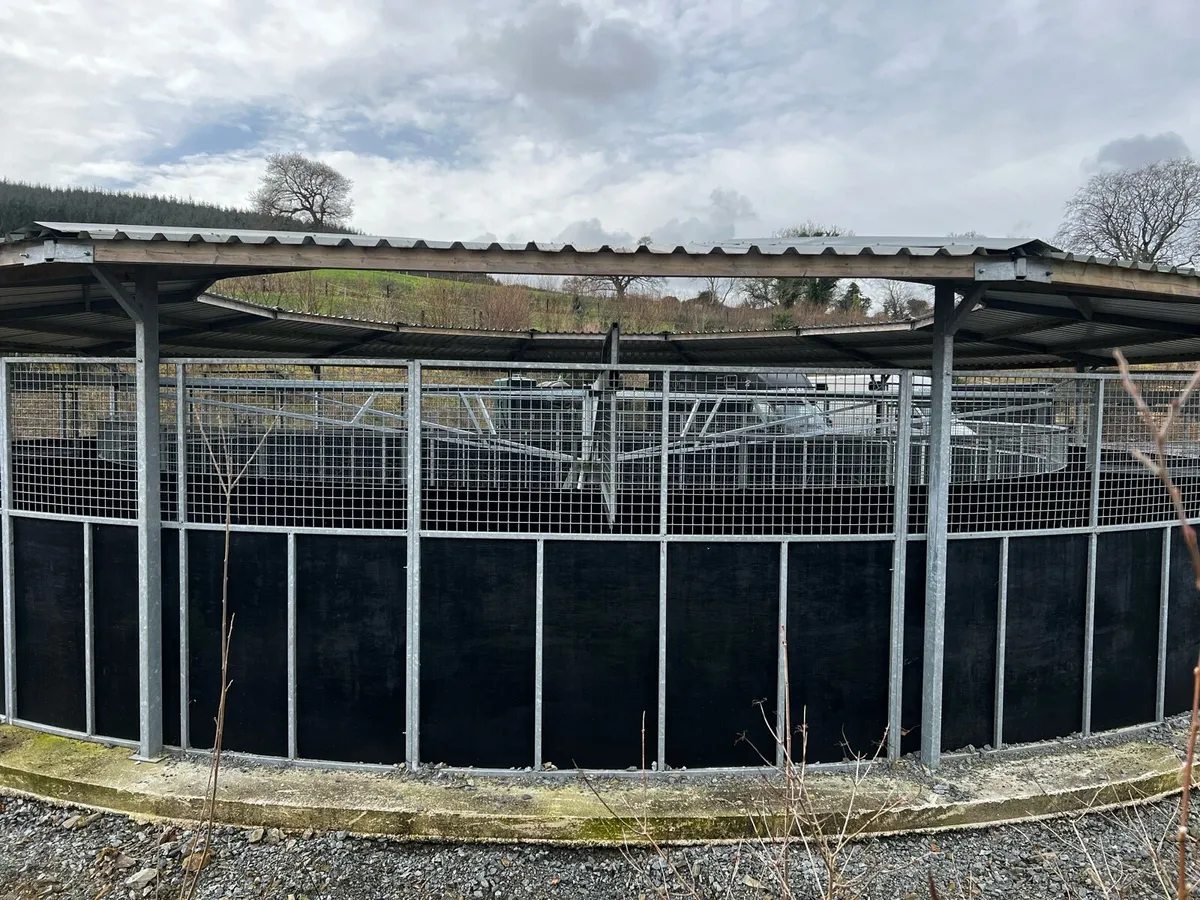 6 Horse Walker - Image 3