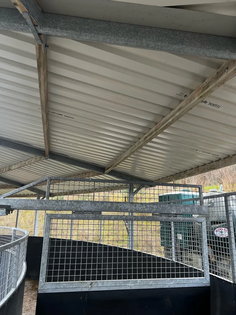 6 Horse Walker - Image 4