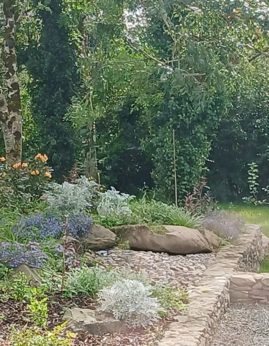 Garden & house improvement and maintenance - Image 1