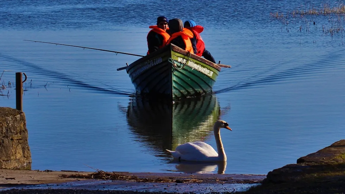 Established Boat Hire Business for Sale - Image 2