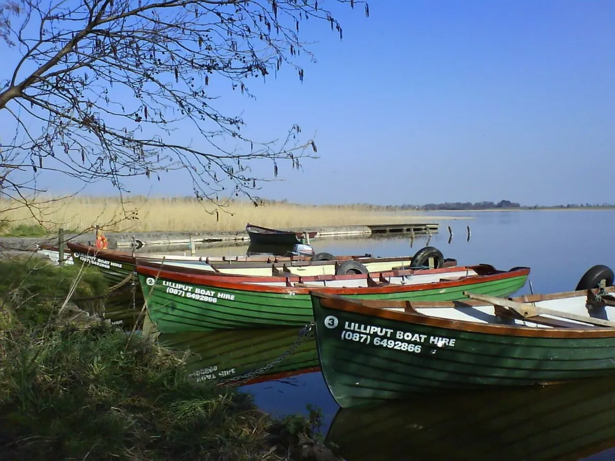 Established Boat Hire Business for Sale - Image 1