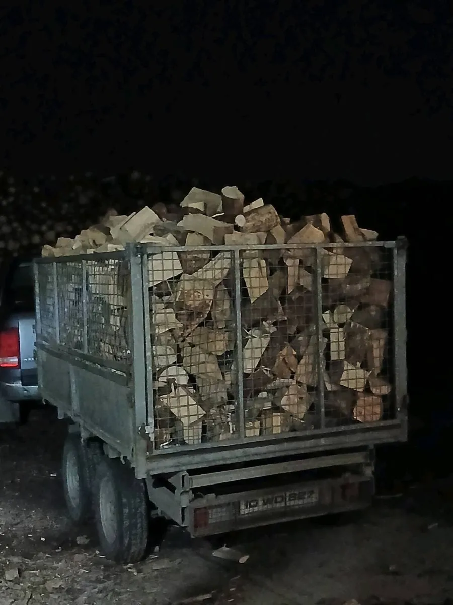 Firewood - Image 3