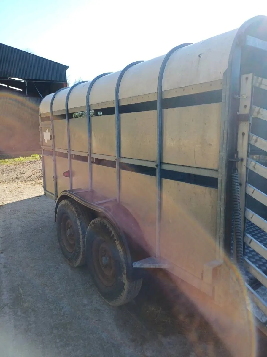 Nugent 12ft cattle trailer €2450 - Image 1
