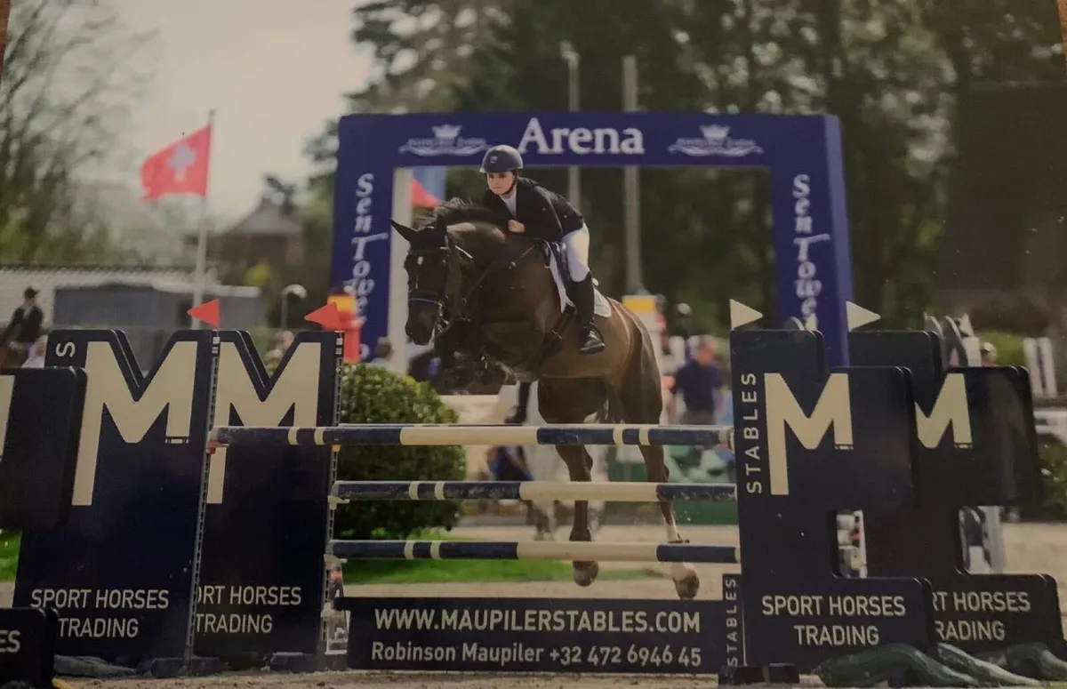 165cm mare - Image 3