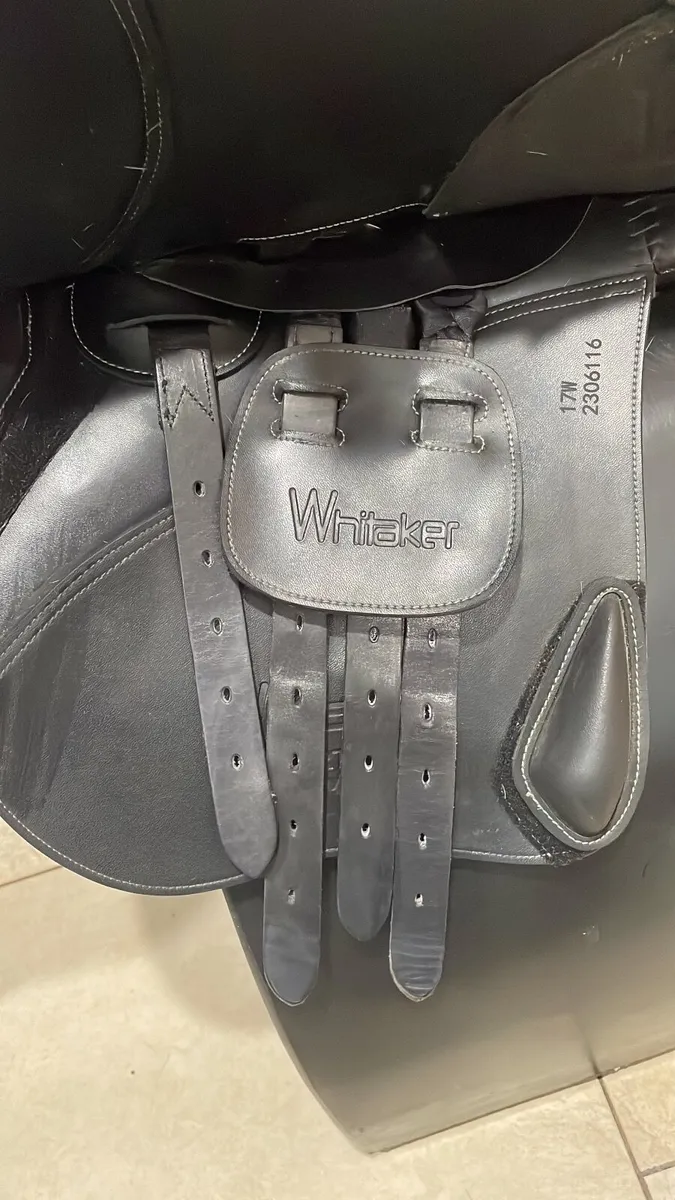 17 inch John Whitaker Jump Saddle - Image 3