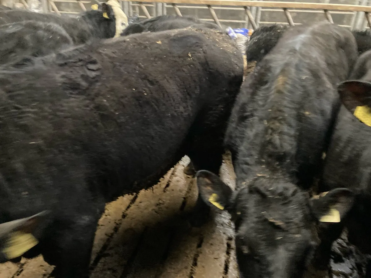 AAX and HRX - Image 1