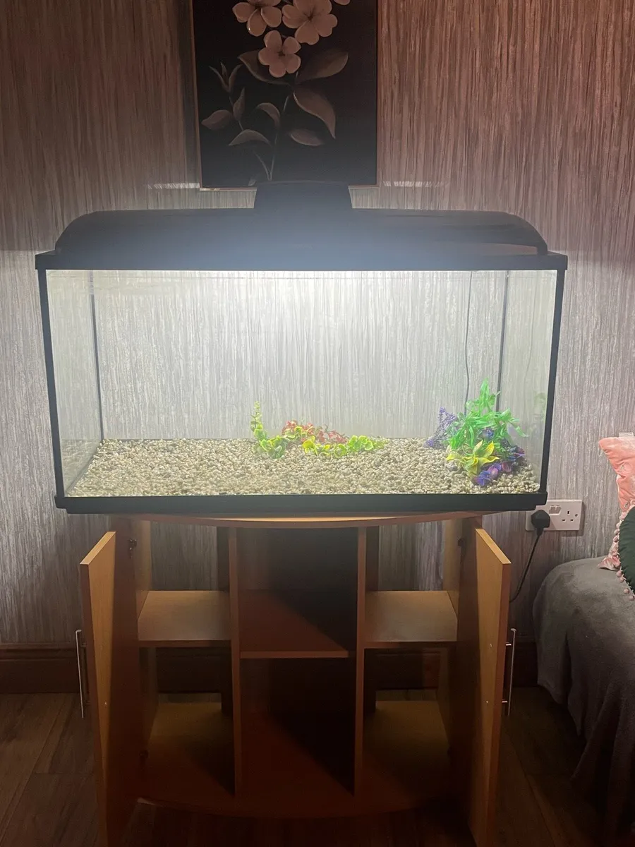 200L fish tank - aquael - Image 2