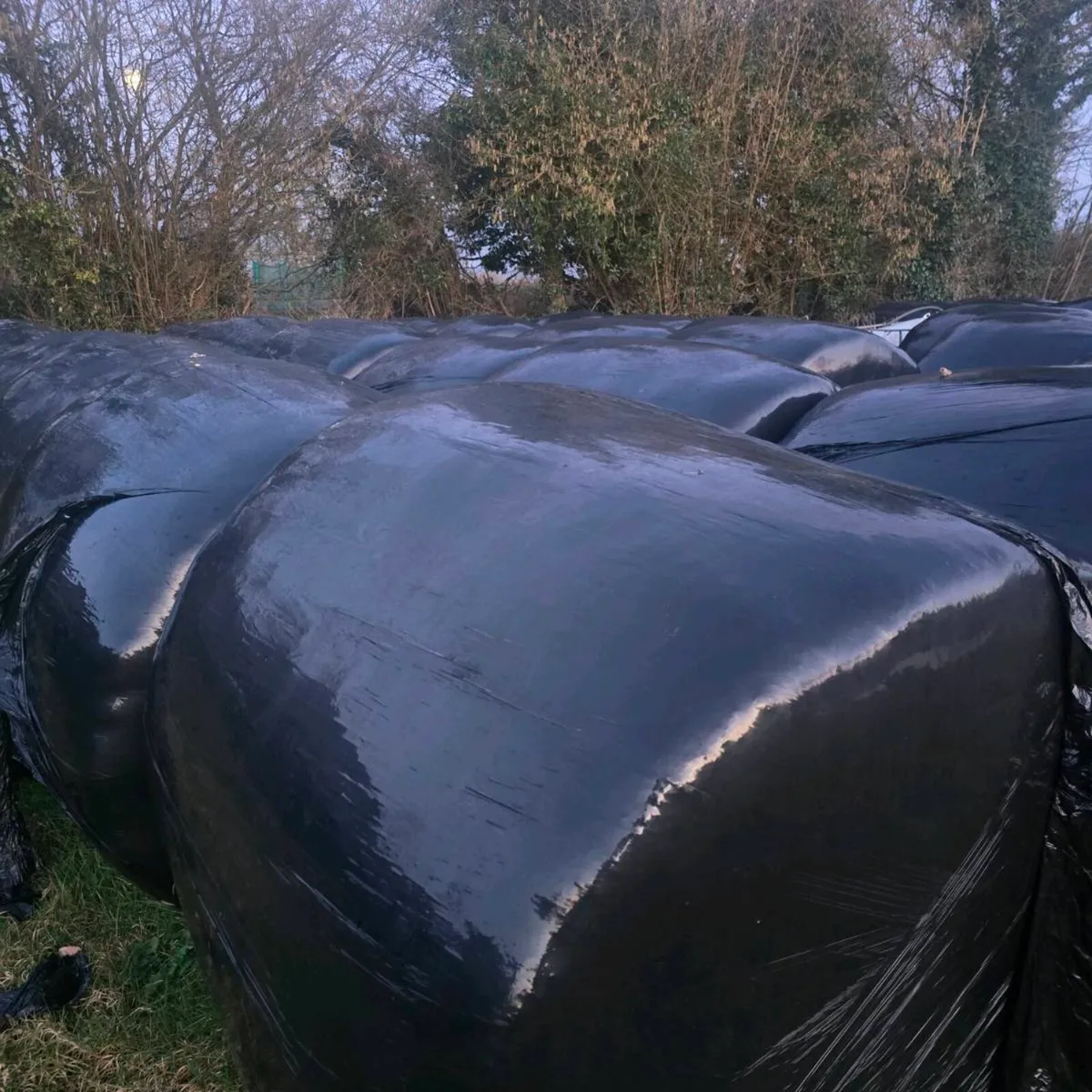 Silage bales for sale.