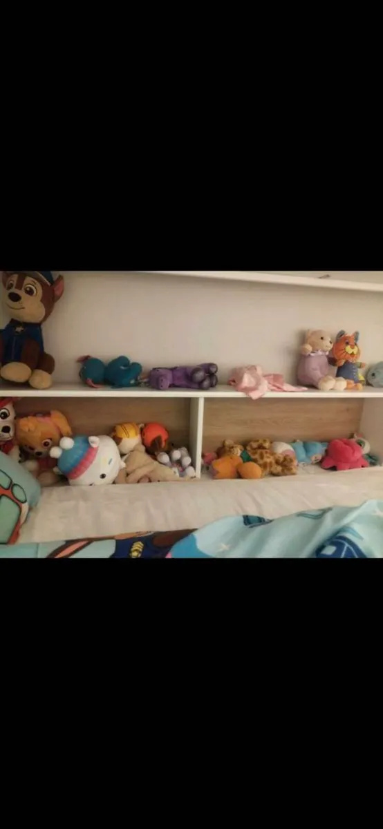 Bunk Bed - Image 4