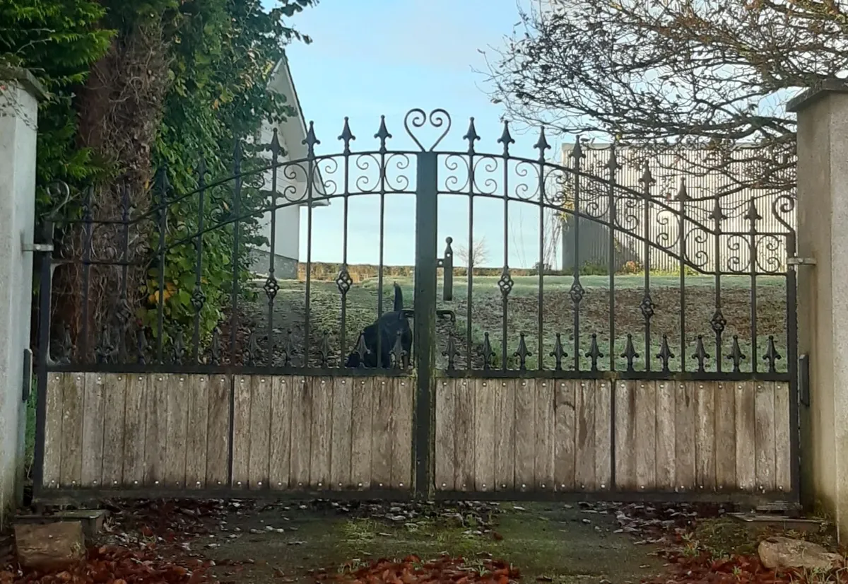 Wroth Iron and Teak Entrance Gates - Image 3