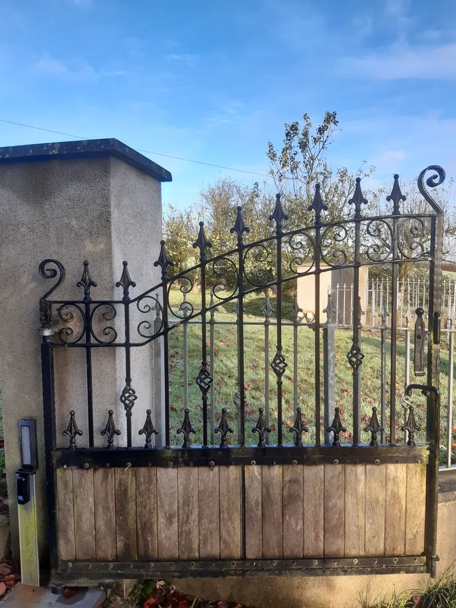 Wroth Iron and Teak Entrance Gates - Image 2