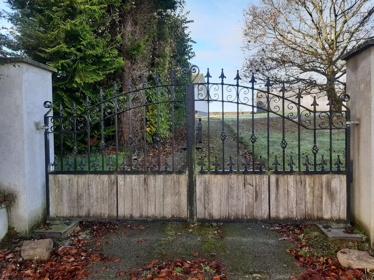 Wroth Iron and Teak Entrance Gates - Image 1