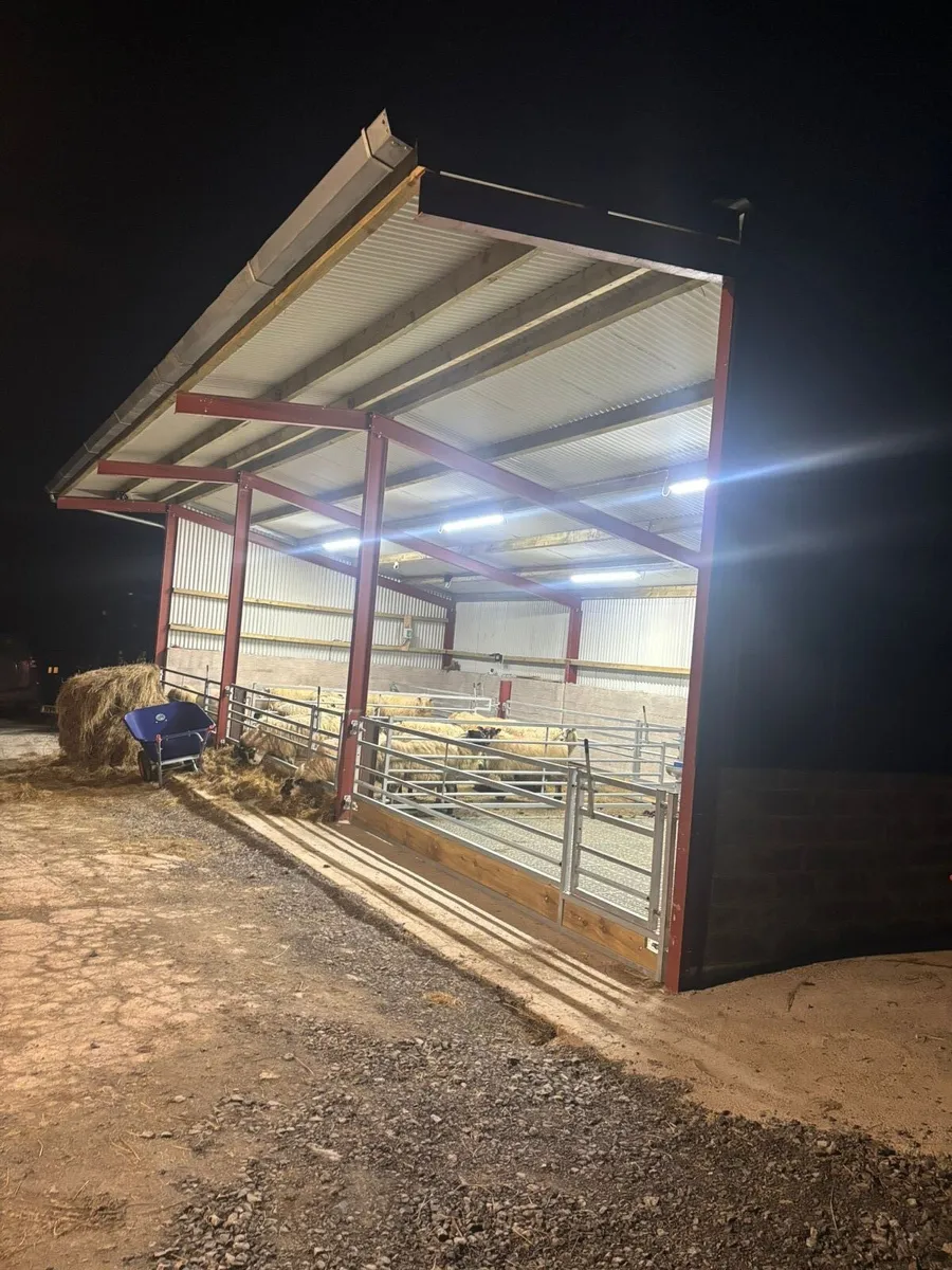 Sheds/footpath/shuttering - Image 4