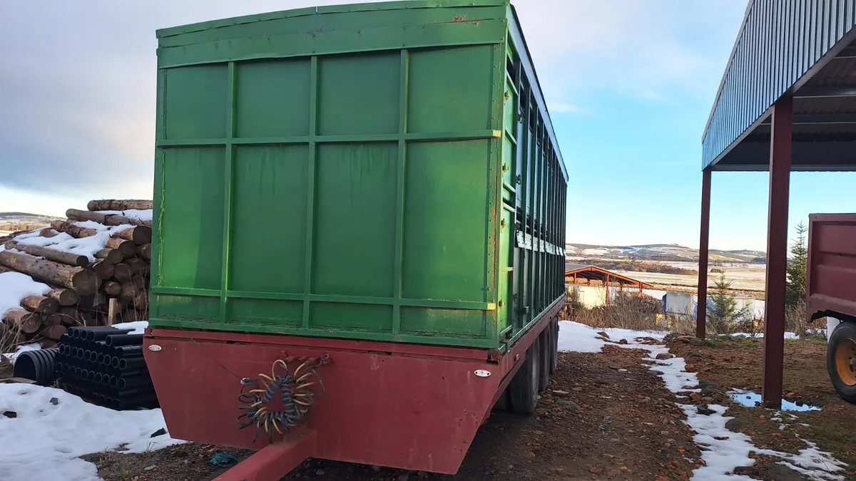 Cattle Trailer - Image 4