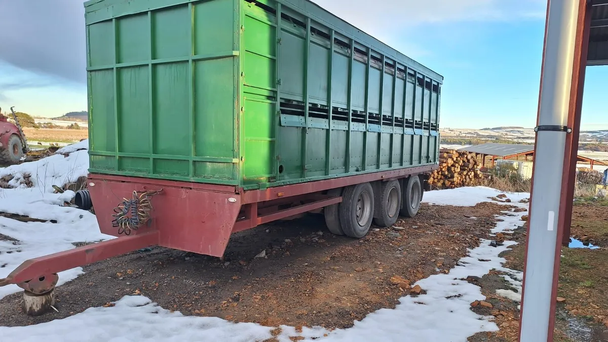 Cattle Trailer - Image 2
