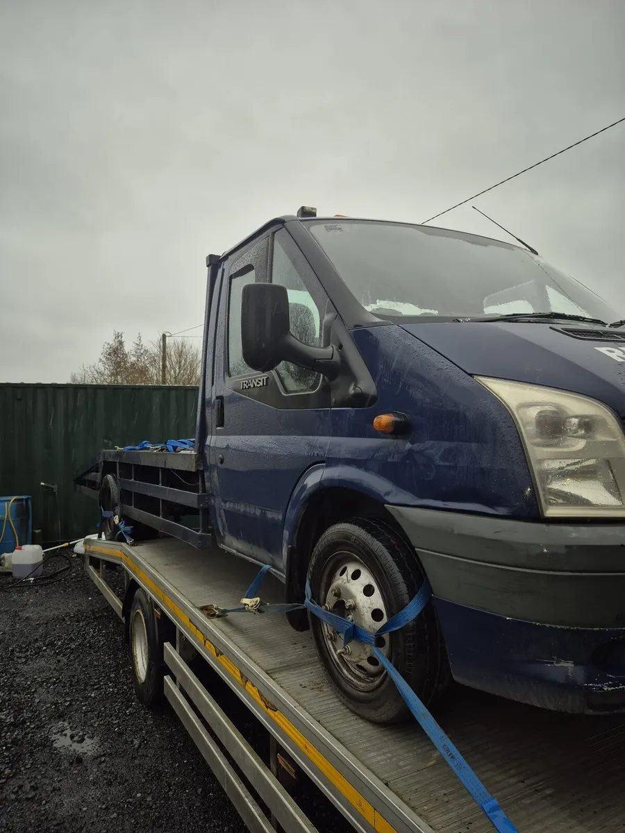 Transit beavertail - Image 2