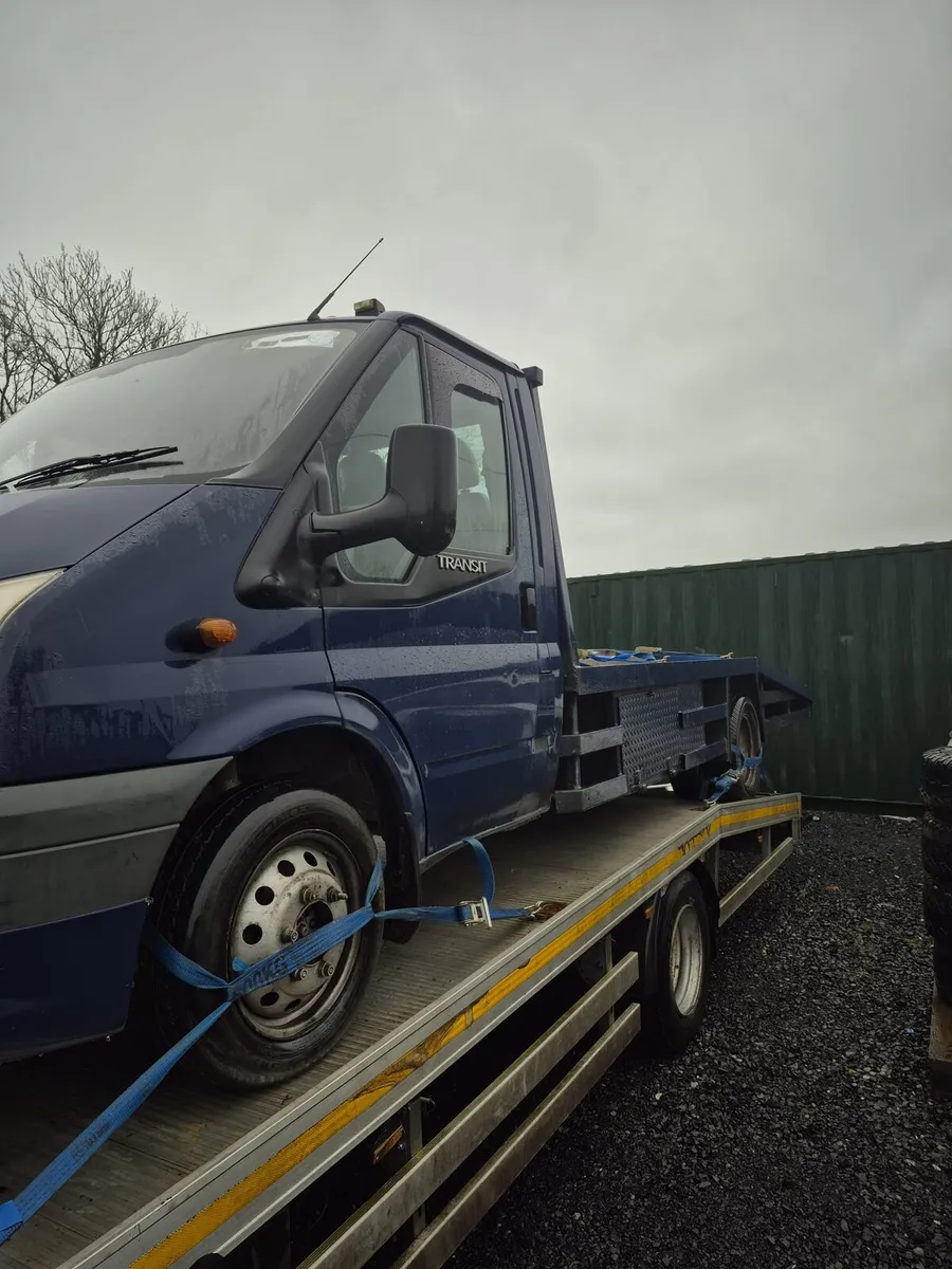 Transit beavertail - Image 3