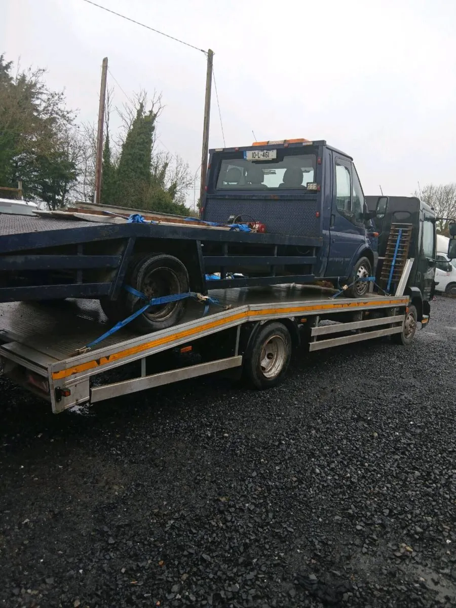 Transit beavertail - Image 4