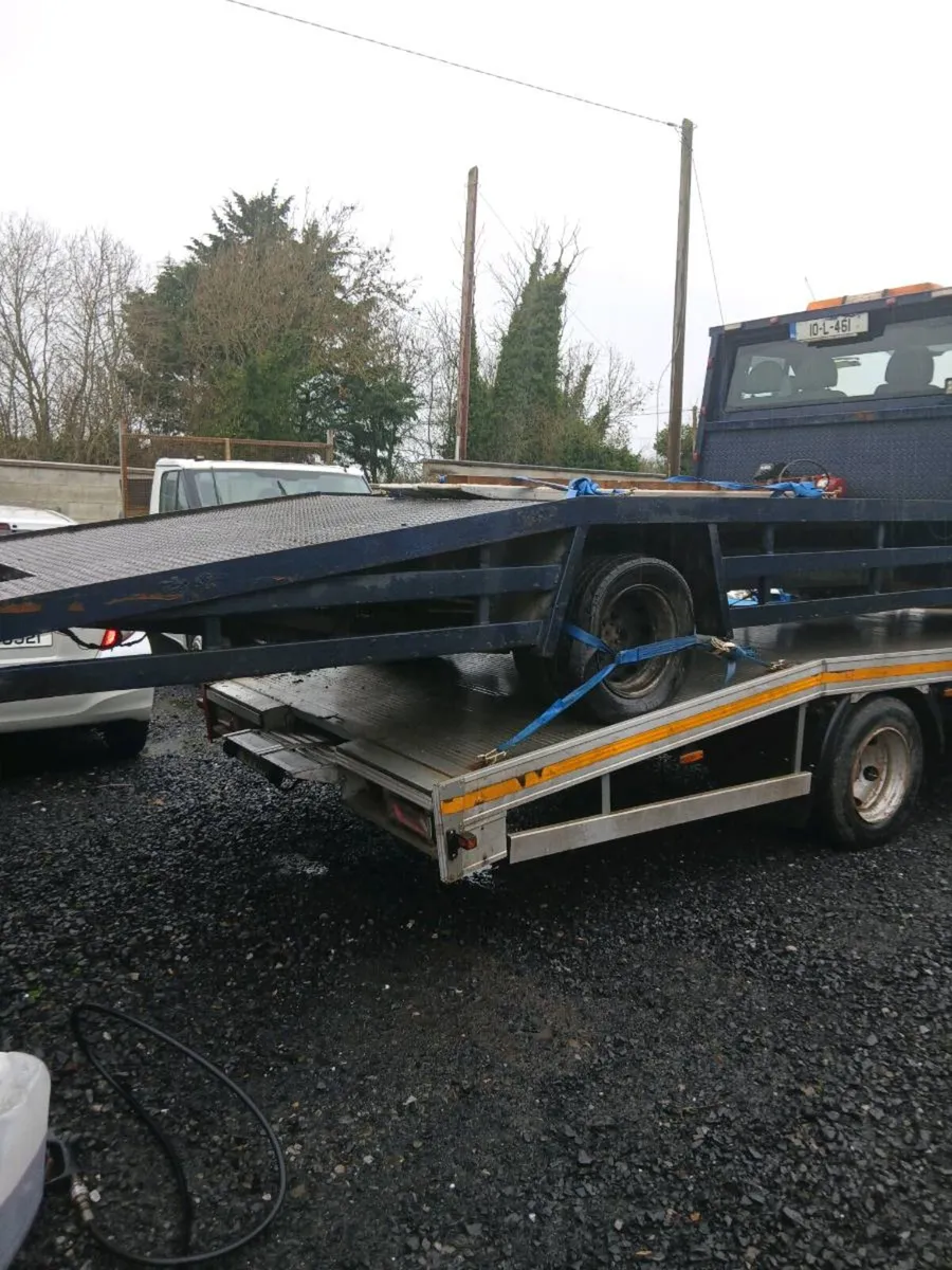 Transit beavertail - Image 1