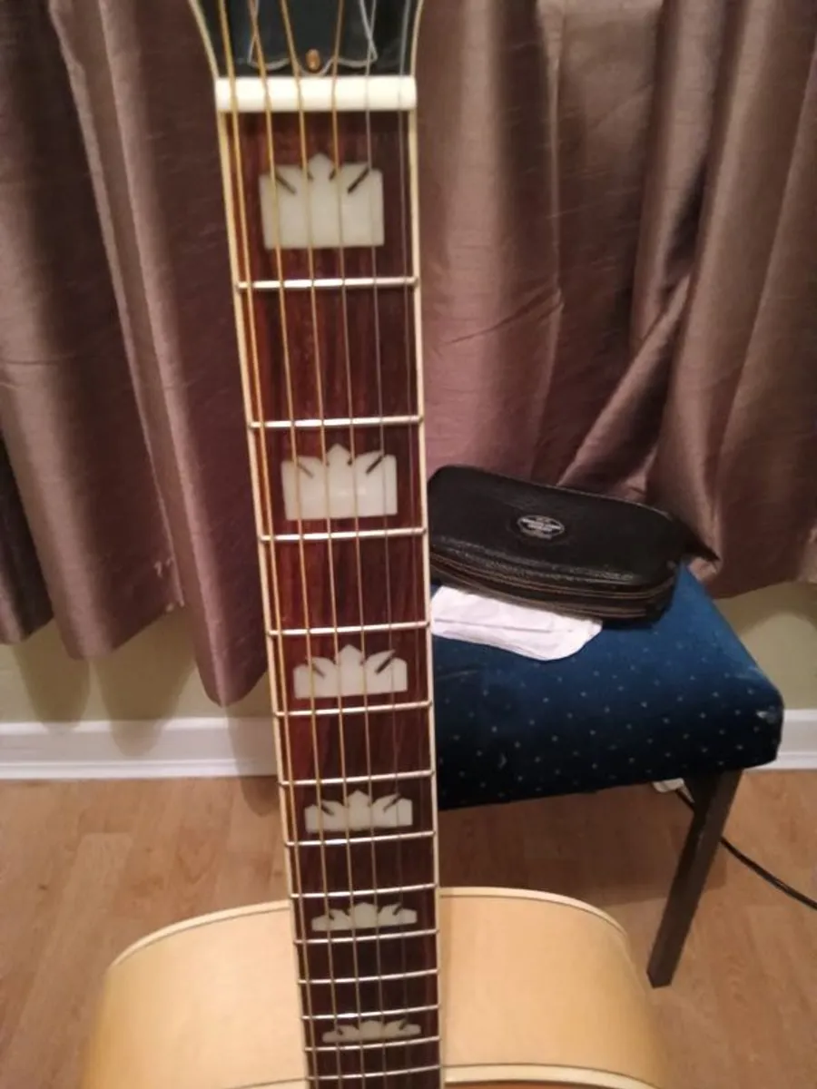 acoustic electric - Image 3