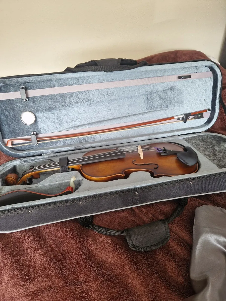 Violin Stentor Graduate 4/4 - Image 2